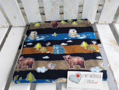 RM25 MIŚKI pasy sing DCO 