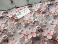 20240619_181111.jpg