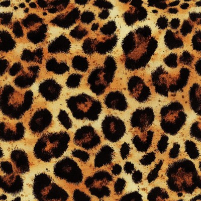 L1802 PANTERKA brąz oxford poliester