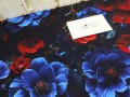 IMG20260316151613.jpg