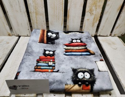 M1603 KOT duże oczy dresówka pętelka DuCy