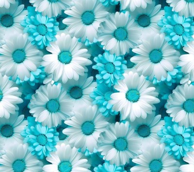 ZAPIS DJM+E/240426/85