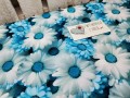 IMG20260427180404.jpg
