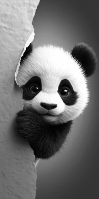 K2704 Panel PANDA ściana 60/80 dresówka pętelka DuCy