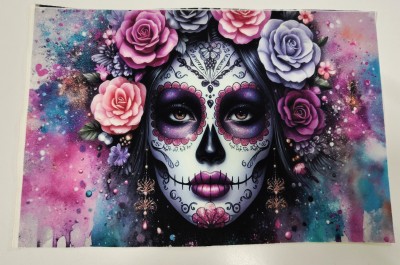L2307 Panel kosmetyczka La Catrina zachód 20x30 welur tapicerski