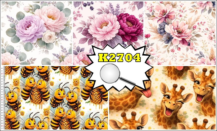 K2704